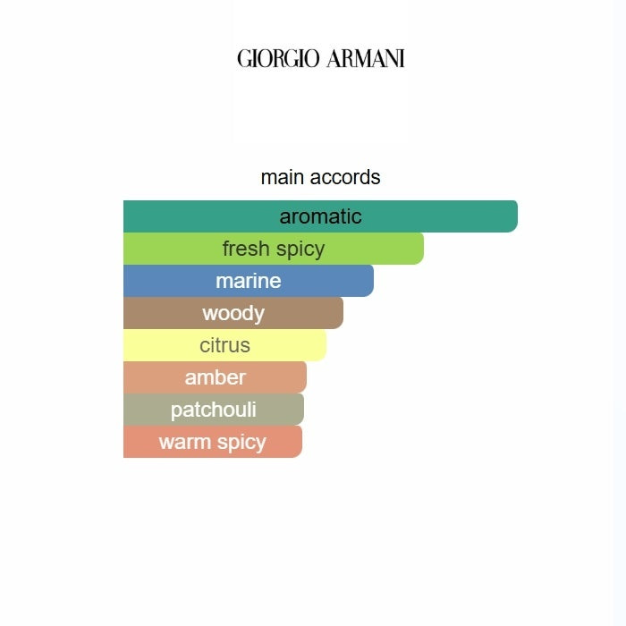 Giorgio Armani Acqua di Giò Parfum 125ML