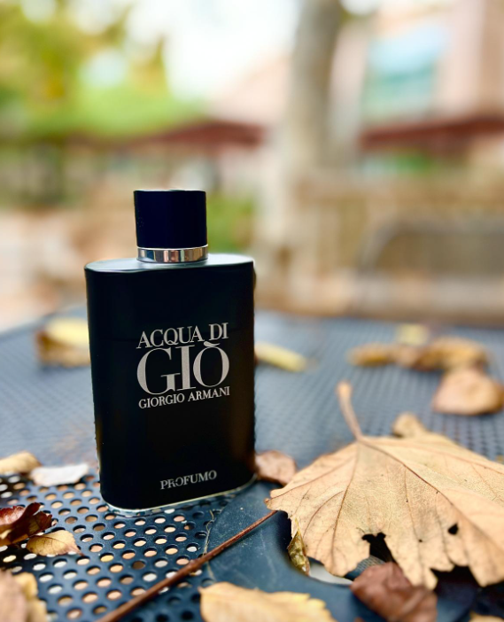 Giorgio Armani Acqua di Giò Profumo 125ML