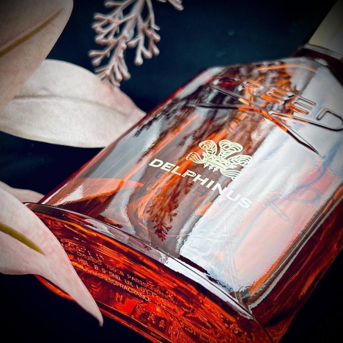 Delphinus  100ML