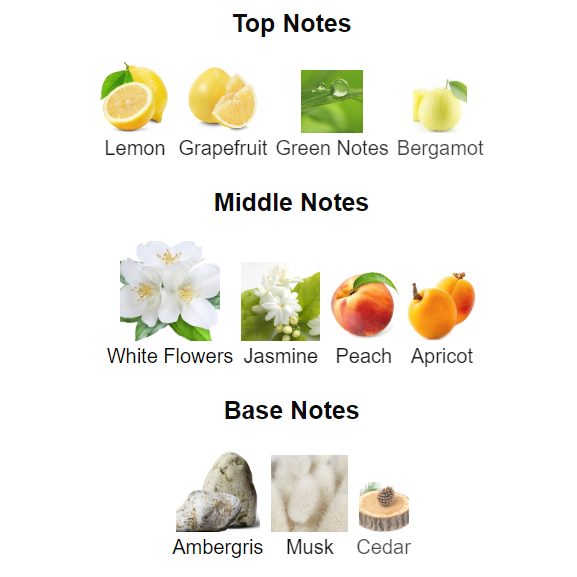 Spring Flower 2023 100ML